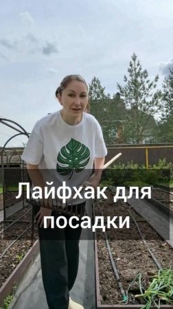 Лайфхак для посева и посадки рассады
