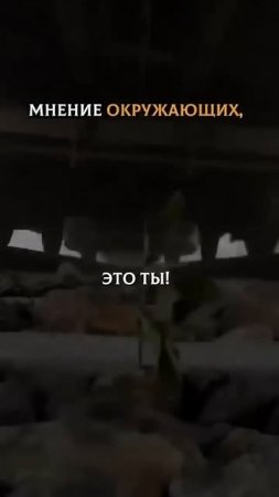 Это мы! У нас получиться преодолеть все неудачи!