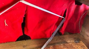 Курятник на 450 кур. Обзор до первого заселения