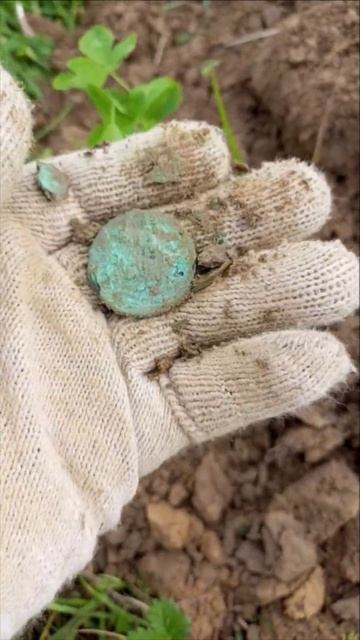 Ищем клад и многое другое с EQUINOX 600 #металлоискатель #им смотреть онлайн