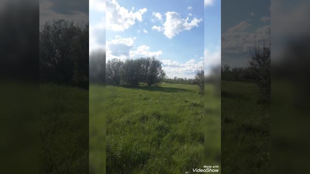 Наша поездка за грибами 🤣. 15 мая 2025 года