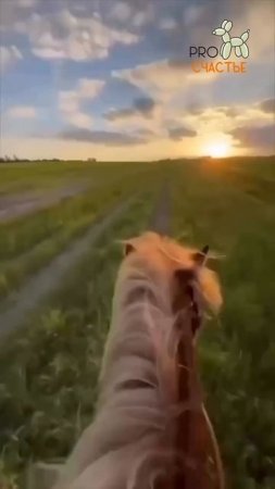 Заветные слова 👌🏻
