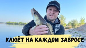 Нас выгнали с моста Судак клюёт один за другим