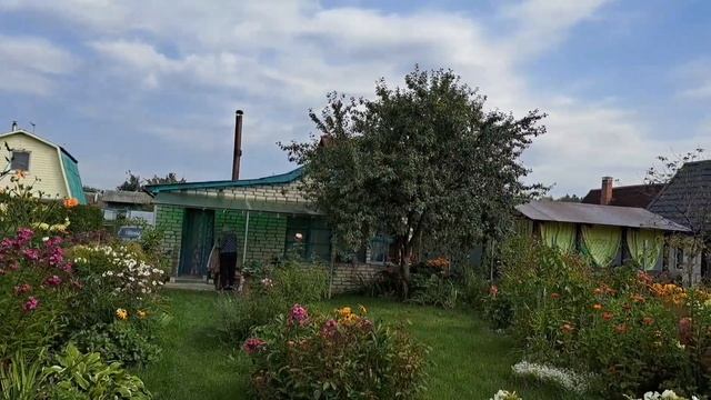 17.08.2024.  Цветут георгины. смотреть онлайн