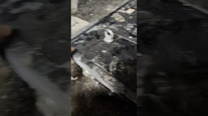 Отзыв клиента по Умке с отвалом для каротфелехранилища