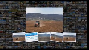 В Севастополе агрофирма Золотая Балка закладывает но?