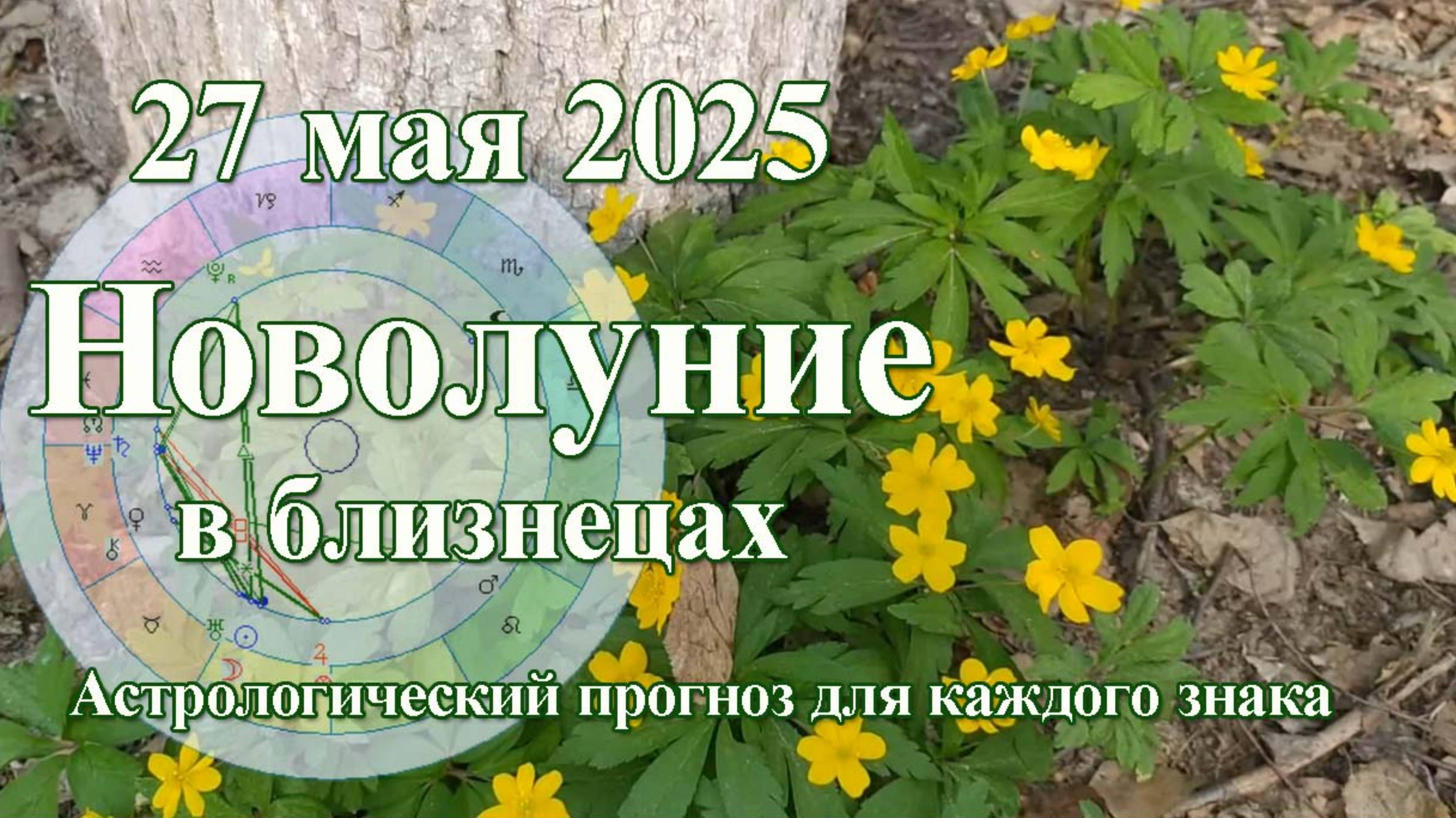 Что принесёт Новолуние 27 мая 2025, гороскопы для каждого знака