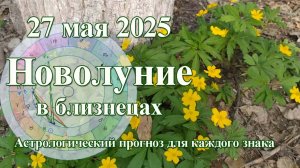 Что принесёт Новолуние 27 мая 2025, гороскопы для каждого знака