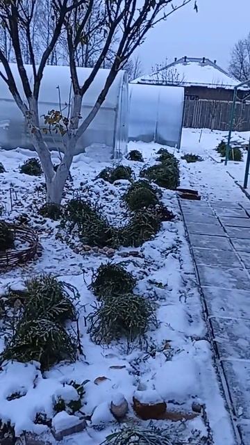 Утеплитель для 🌹🌹🌹 смотреть онлайн