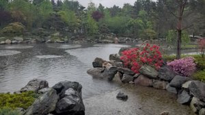 Отдых после выгорания