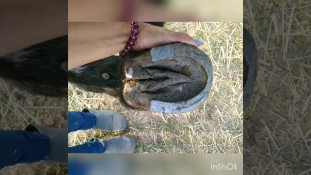 Динар,день покупки! смотреть онлайн