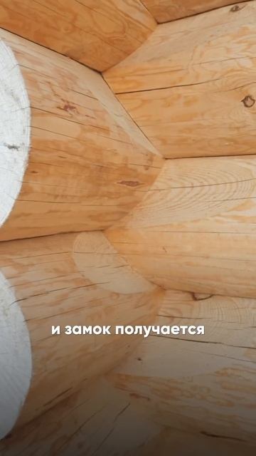 Рассказали про второй вид рубки - Канадская Чаша #кана? смотреть онлайн