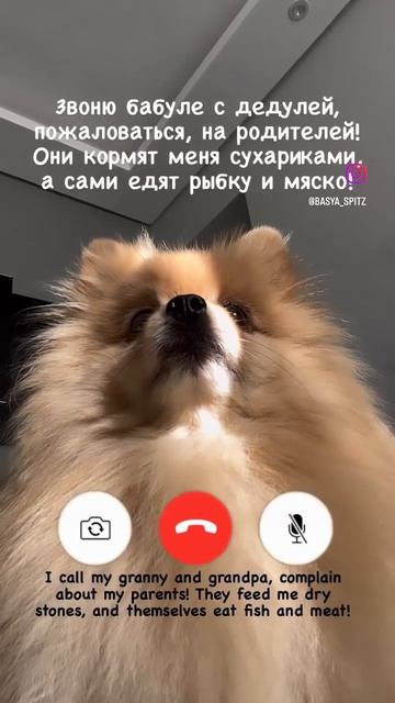 Звоню бабуле с дедулей #2 смотреть онлайн