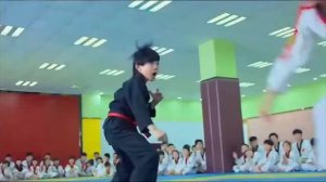 lin giunan китайский каратэ