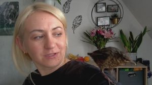 Считаю калории ✔️ что я ем 🧆 Налоги ✔️за продуктами 🛒 Покупки мужа 🛒 наша птичка 🐦⬛
