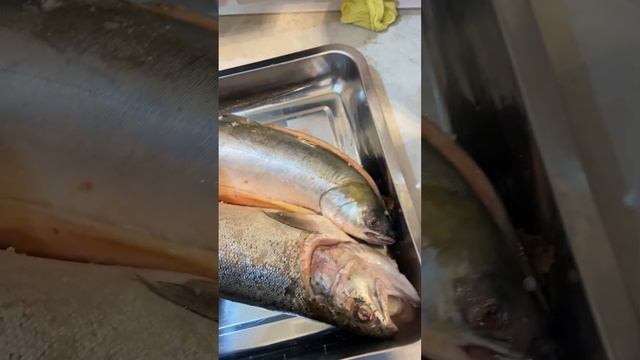 Форель холодного копчения смотреть онлайн