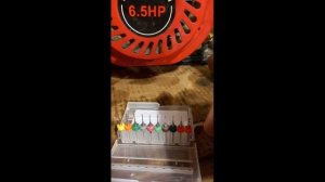 Бензогенератор Edon PT 3000 3,0кВт - підгазовує але не запуск