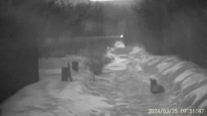 Прибор ночного видения NVG 10 работа с ИК ЛЦУ