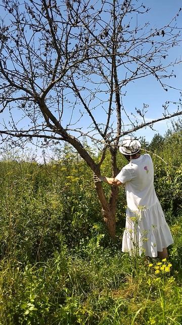 Стоит ли покупать аккумуляторную пилу? Или, как легко ? смотреть онлайн