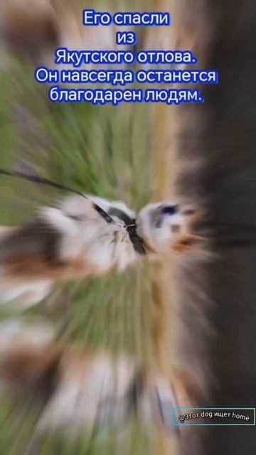 Нельзя не влюбиться