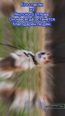 Нельзя не влюбиться