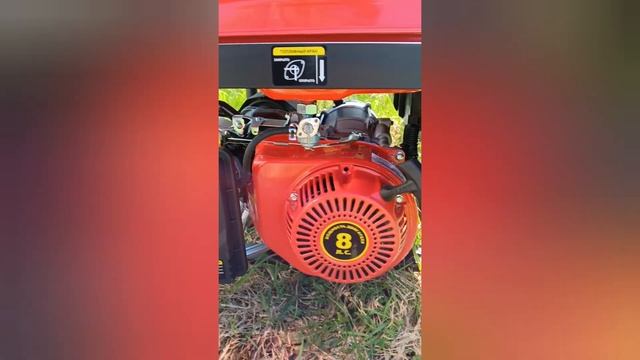 Бензиновый генератор DDE G350P смотреть онлайн