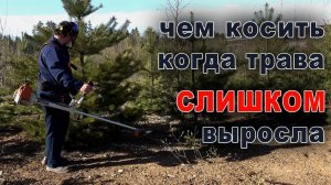 Скосить поросль на участке можно легко и не дорого