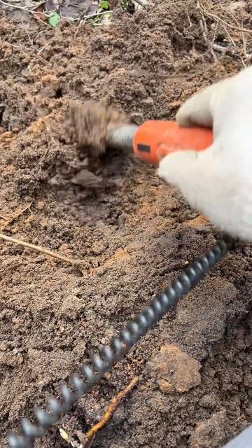 Находка ч.548🔥🔥 #леснойскобарь#2025#металлоискатель#minel смотреть онлайн