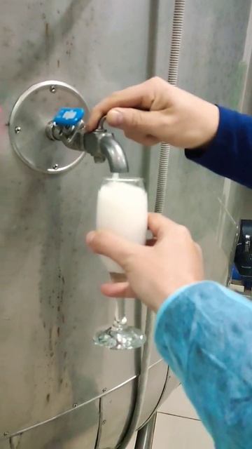 Необычная экскурсия на завод игристых вин на КМВ смотреть онлайн