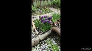 влог 3/25 выход в свет с игрушками на 9мая,покупки и готовые работы ,знакомство с новой пряжей