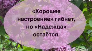 «Хорошее настроение» гибнет, но «Надежда» остаётся.