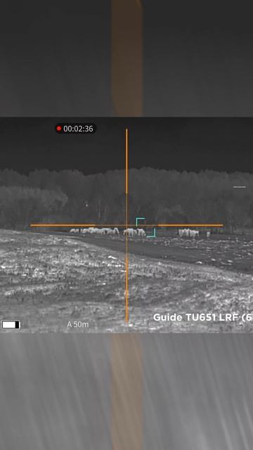 Тепловизионные прицелы с дальномером GUIDE TU451 LRF vs TU651 LRF смотреть онлайн