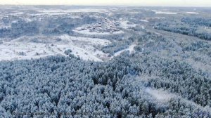 Музыка качает душу сильнее любого шторма - Triste Triste (XXVII) -- opo -- Estudios Indigeniformes