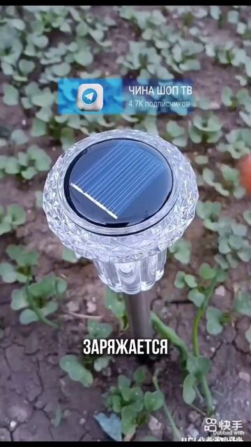 освещение для сада
