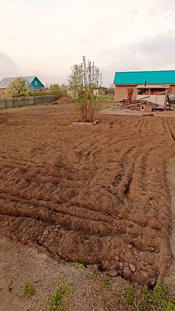 результат работы мотоблока смотреть онлайн