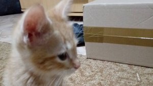 Город коробок 1