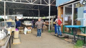 18.05.2025г ст.Бронницы Танцы под Музыку!!!