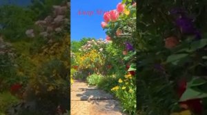 Еще одна бурятская песня "Эжын жаргал ухибуудтэ". Но то