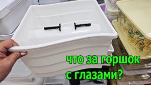 Ох уж этот Фикс прайс.Опять удивил.Май 2025,