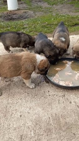 малыши растут