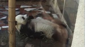 Тай чи чуань. 4 часть