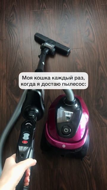 Oh shit😳#котики #смешныеживотные смотреть онлайн