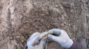 Разрушитель находок в деле! Поиск на поле с Minelab X-Terra PRO