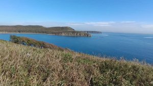 Владивосток 2024 мыс Тобизина - мощный трекинг