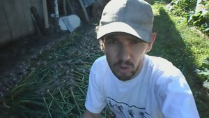 КАК ВЫРАСТИТЬ КРУПНЫЙ ЧЕСНОК. ГЛАВНЫЙ СЕКРЕТ ХОРОШЕГО УРОЖАЯ ОЗИМОГО ЧЕСНОКА