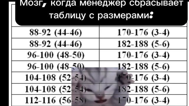 Размерная таблица пугает😄 ➡️storework.by ☎️+37544-54-777-50 #сп? смотреть онлайн