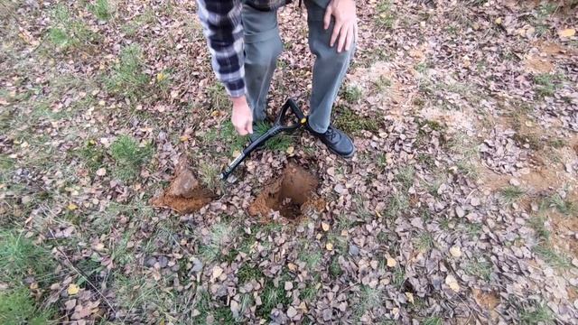 Nokta legend 1.17 VS 1.07 softwareпрошивка. Можно ли обновляться ?! те