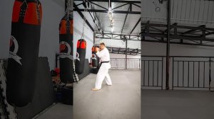 🔥Удары Руками в Каратэ Киокушинкай | Фишки и Финты | Kyo