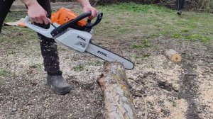 Бензопила Stihl MS 231 Обрізка старого клена🪵