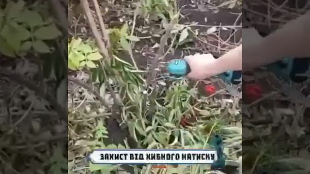 НАБІР ПИЛА+СЕКАТОР смотреть онлайн